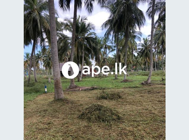 Land for sale kurunagala